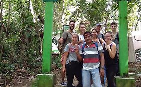 Jungle treking