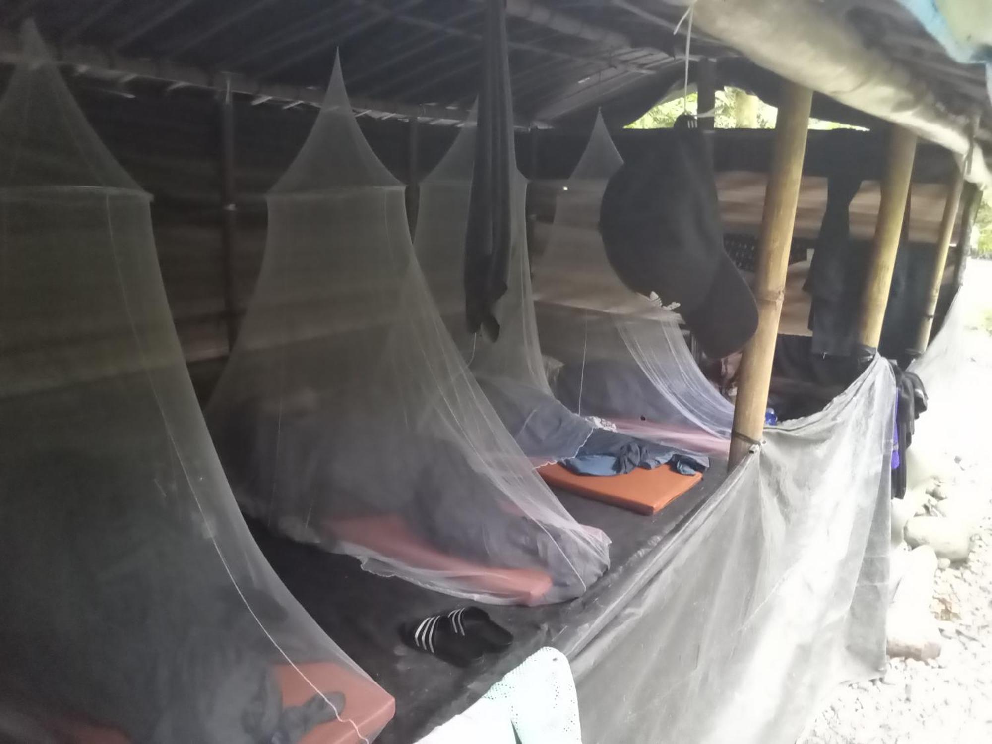 Hostel Jungle treking Bukit Lawang Exterior foto