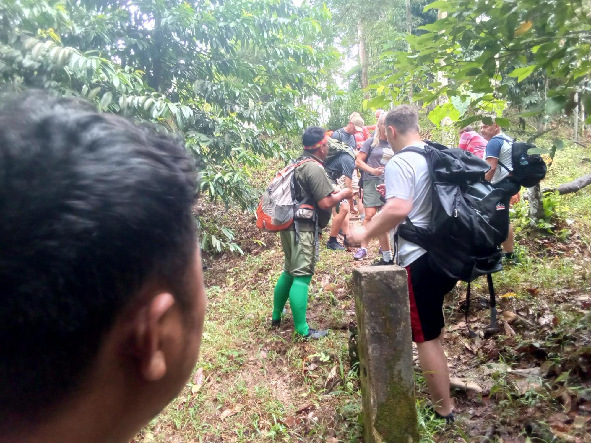 Hostel Jungle treking Bukit Lawang Exterior foto