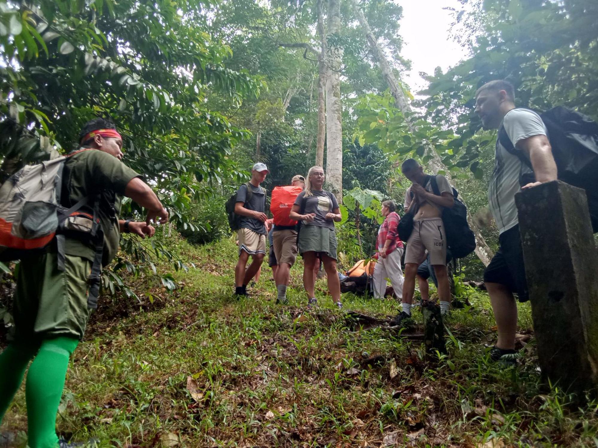 Hostel Jungle treking Bukit Lawang Exterior foto