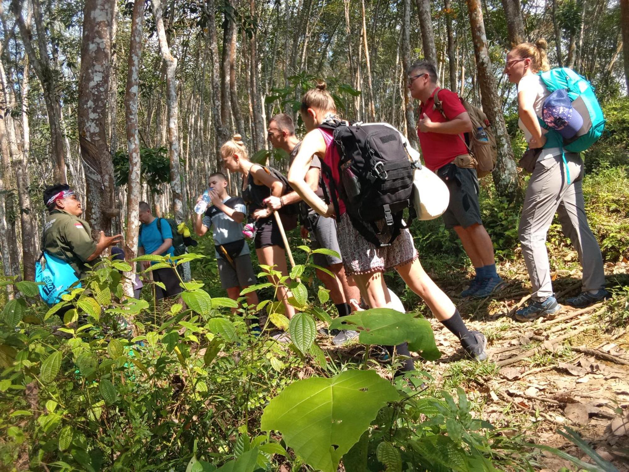 Hostel Jungle treking Bukit Lawang Exterior foto